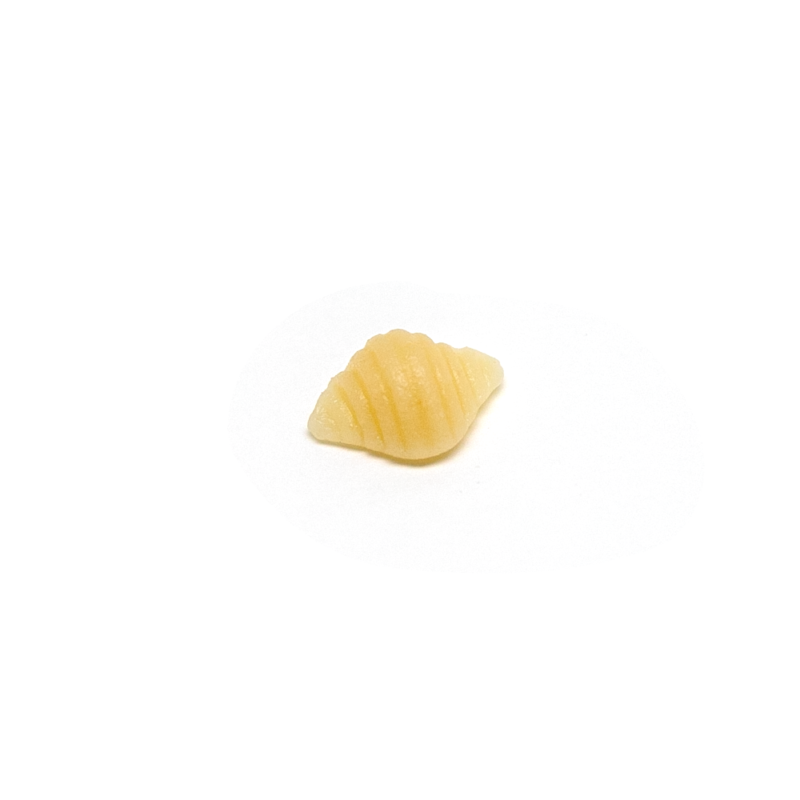Conchigliette