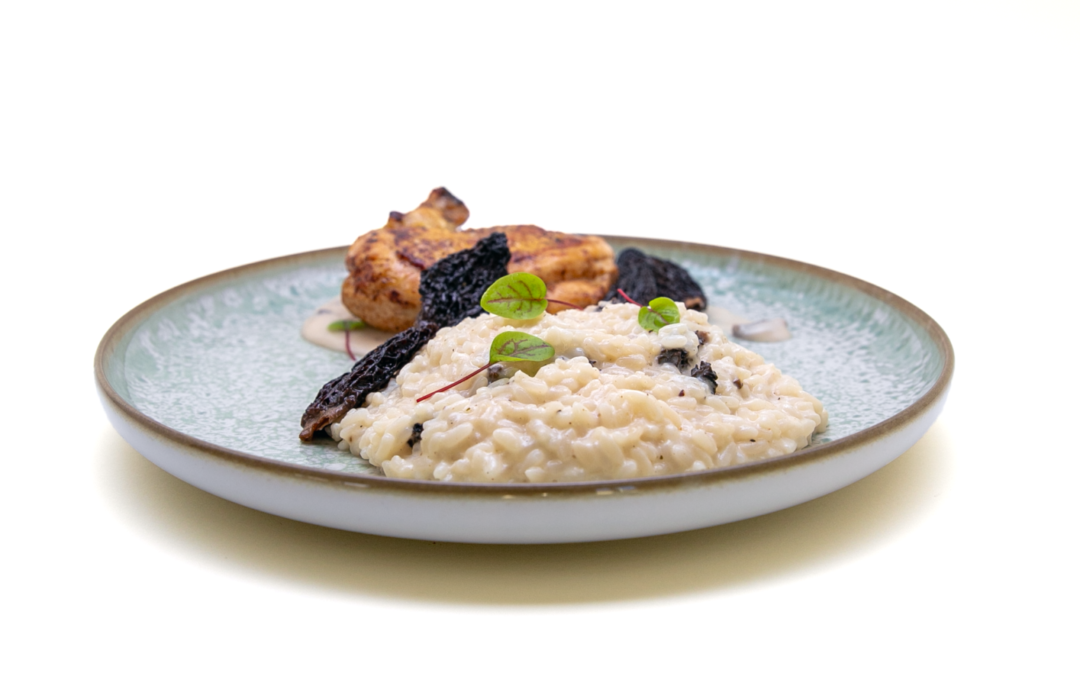 Risotto met morieljes en kipfilet