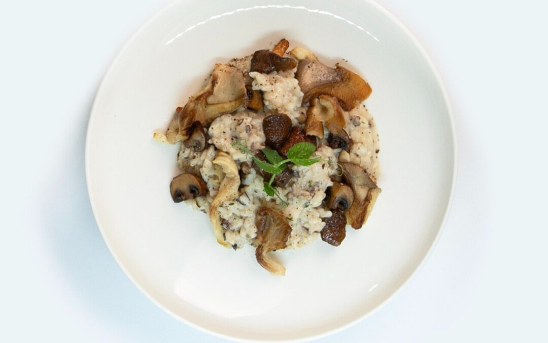 Risotto aux champignons des bois